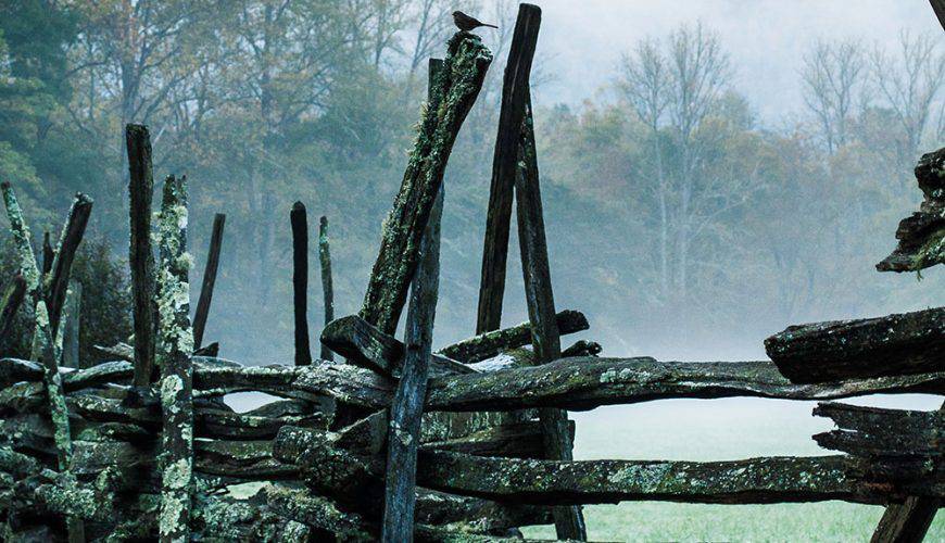 City Spotlight: Munnar