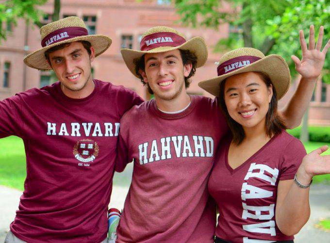 Sign Small Group Tour in Luxury Van